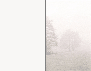 SE TA Bäume im Nebel - Karte: 178 mm x 220 mm, edel-weiß, Motiv - Hülle: 120 mm x 189 mm, edel-weiß, mit Seidenfutter, Premium-Qualität