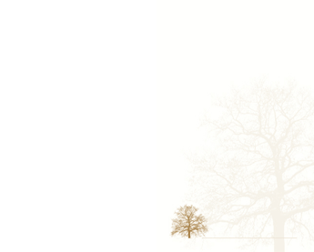 SE TA Baum mit Schatten - Karte: 185 mm x 230 mm, creme-weiß, Motiv - Hülle: 120 mm x 191 mm, creme-weiß, mit Seidenfutter