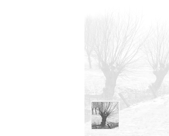 SE TA Baumlandschaft - Karte: 185 mm x 230 mm, edel-weiß, Motiv - Hülle: 120 mm x 195 mm, ohne Seidenfutter