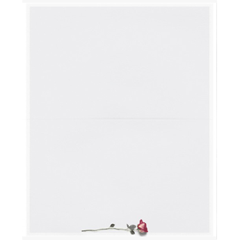 SE TB Rose liegend - Bogen: 215 mm x 175 mm, creme-weiß, Motiv - Hülle: 120 mm x 191 mm, creme-weiß, mit Seidenfutter