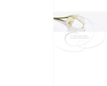 SE Serie TA Kalla liegend - Karte: 230 mm x 185 mm, edel-weiß, Motiv - Hülle: 120 mm x 191 mm, edel-weiß, mit Seidenfutter