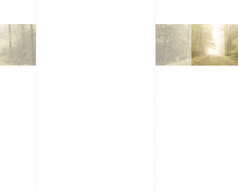 SE Serie TA Waldweg - Karte: 230 mm x 185 mm, edel-weiß, Motiv - Hülle: 120 mm x 191 mm, edel-weiß, mit Seidenfutter