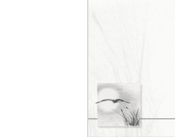 SE TZ Vogel - Karte: 110 mm x 140 mm, creme-weiß, Motiv